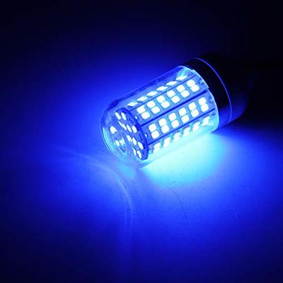 RTNLIT 12V 15W LED Fishing Light, Blue Underwater 108 LEDs Fish