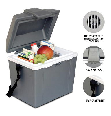 Koolatron Portable White, Gray, Silver 14-Quart Insulated Chest Cooler in  the Portable Coolers department at