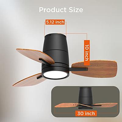 TALOYA Small Ceiling Fan with Lights and Remote Control 30 inch