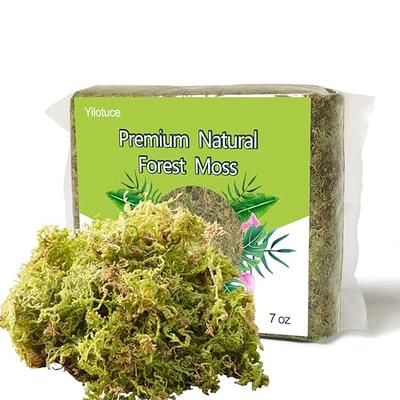 REFFU Natural Sphagnum Moss, Premium Dried Forest Moss for Potted Plants, Potting Mix, Carnivorous Plants Moss for Orchid Succulent Garden and