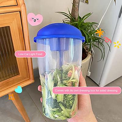 Portable Picnic Box/salad Bowl/sealed Container For Yogurt, Dessert, Food  Storage/small Soup Container/fruit Box/mini Bento Box