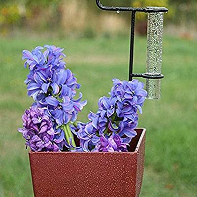 5-inch Capacity Glass Rain Gauge