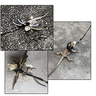  Pawaboo Adjustable Bearded Dragon Harness and Leash, 3 Size  Leather Reptile Leash Outdoor Harness Leash with Bat Wings for Lizard  Reptiles Amphibians Small Pet, Small/Medium/Large, Black+Gold : Pet Supplies