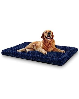 Mora Pets Ultra Soft Pet (Dog/Cat) Bed Mat with Cute Prints | Reversible Fleece Dog Crate Kennel Pad | Machine Washable Pet