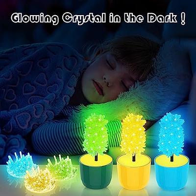  sdaymol Glowing Crystal Growing Kit,Science Kits for Kids Age  8-12,DIY Science Experiments Lab Learning & Educational Toys,STEM Projects  Toys Gifts for Boys & Girls Ages 8 9 10 12 : Toys