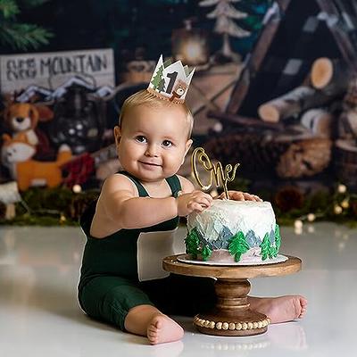 1st Birthday Girl Decorations WITH Birthday Crown- Baby First Birthday Decor