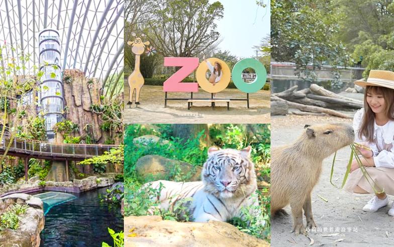 暑假帶小孩放電！必逛「最強動物園」TOP６：全台面積最大、12歲以下免費入園