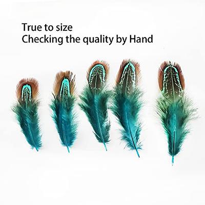  120pcs Colorful Goose Feathers for DIY Crafts, Jewelry