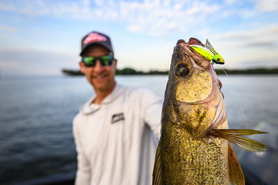 Berkley Gulp! Saltwater Paddleshad Scented Swimbait, Red Chrome 4 In.