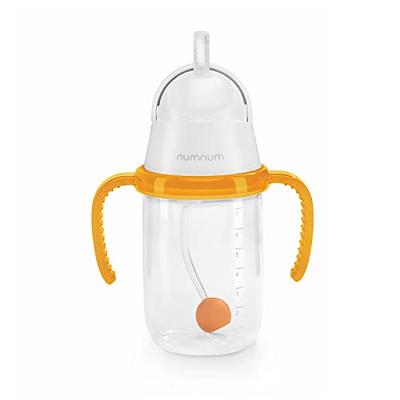 Honey Bear Straw Cup Straw Sippy cup 8 oz Baby Led Weaning