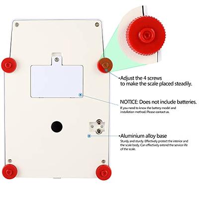 RUISHAN 3000 x 0.01g Lab Precision Digital Analytical Balance RS232 port  Electronic Weighing Scale Scientific Scale Centigram Scale, Calibrated  Scale