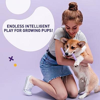 Pet Supplies : TOTARK Dog Snuffle Toys, Detachable Dog Puzzle Enrichment  Toys for Medium Small Dogs Foraging Training, Squeaky Sniffle Interactive  Treat Game for Boredom Dog Brain Mental Stimulation Toys 