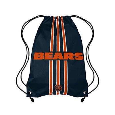 Detroit Lions NFL Team Stripe Wordmark Drawstring Backpack