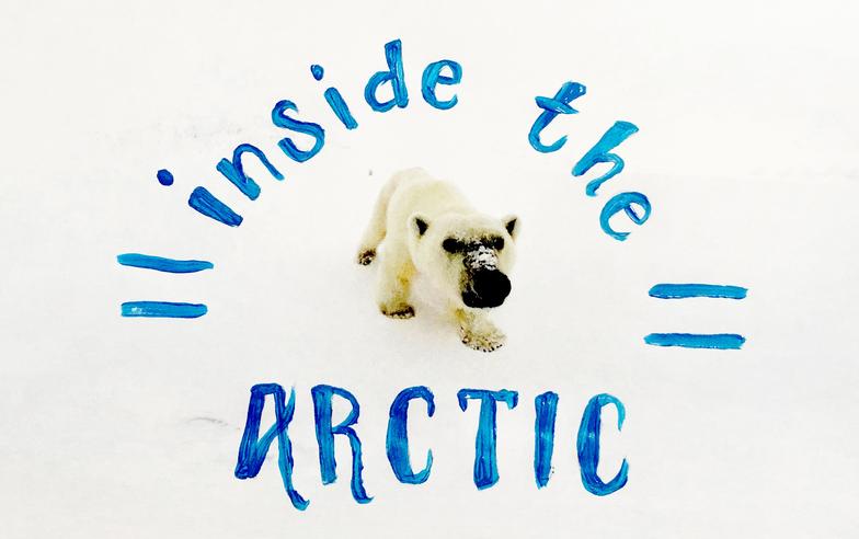 極地之境：拯救北極圈