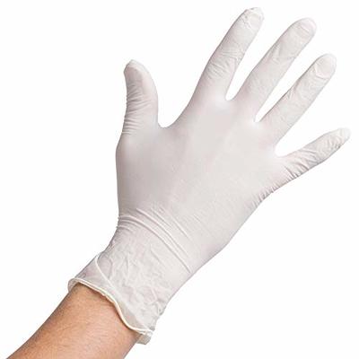 Noble Products Large Powder-Free Disposable Blue Vinyl Gloves for  Foodservice - Case of 1000 (10 Boxes of 100)