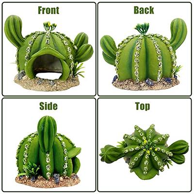 kathson Reptile Tank Decor Lizard Hide and Cave Plants Terrarium Decorations  Resin Cactus Desert Aquarium Tank Habitat Accessories for Bearded Dragon  Chameleon Leopard Gecko Snake Fish (Ball Cactus) - Yahoo Shopping