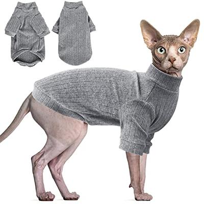 Cozy Sphynx Cat with Pink Knit Sweater - NeatoShop