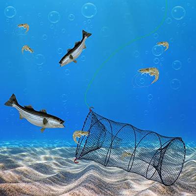 Foldable Fishing Net Trap and Fish Minnow Trap