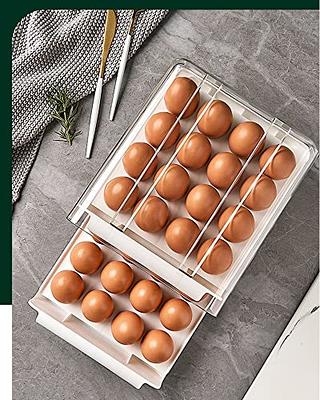 32 Egg Holder for Refrigerator, Large Capacity Egg Container for  Refrigerator, 2 Layers Clear Plastic Egg Fresh Storage Box for Fridge,  Upgrade Egg Storage & Egg Tray 