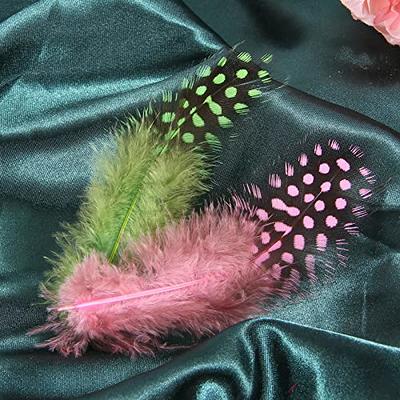  THARAHT 120pcs Mix Colour Two Style Spotted Small Natural Bulk  Feathers 2-3 Inches for for Sewing Crafts Clothing Jewelry Wedding Hair  Hats Dream Catcher Decoration Guinea Fowl Feathers