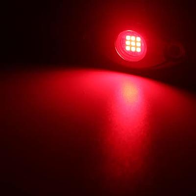 Red Neon Lights - ATV  Led light kits, Led kit, Neon lighting