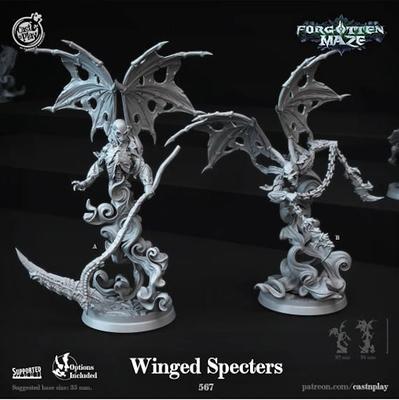 Winged Specter - Castnplay Forgotten Maze Dnd Miniature Fantasy Rpg  Pathfinder Table Top Miniature Dungeons & Dragons D&d - Yahoo Shopping