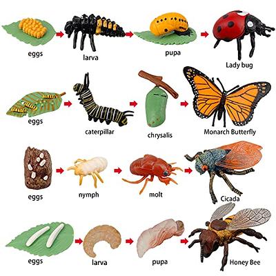 Honeybee, Plastic Toy Animal, Kids Gift, Realistic Figure