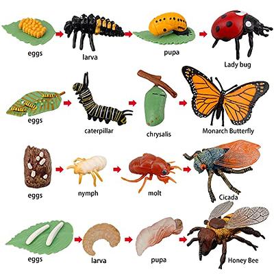 Nature Bound Bug & Butterfly Kit — Busy Bee Toys