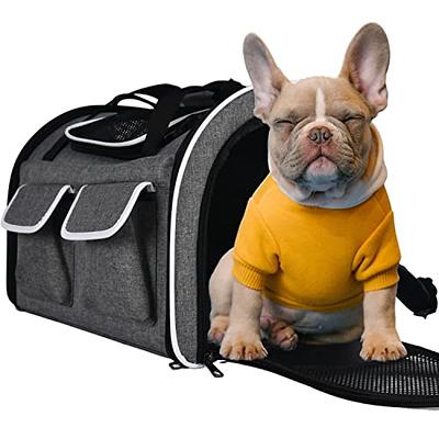 Space Capsule Cat Pet Backpack and TSA Airline Carrier for 