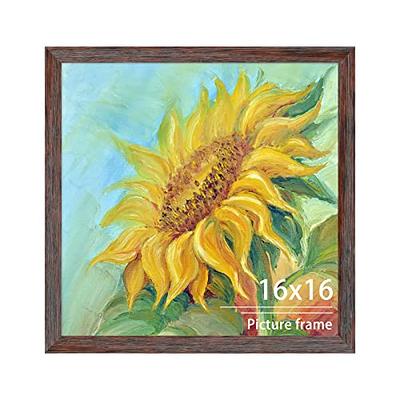 Golden State Art,16x20 Floating Picture Frame Black Aluminum Frame for Any  Size Photo Up to 16 by 20