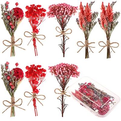 New Small Natural Dried Flowers Bouquet Dried Flower Confetti Bulk