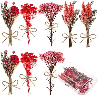 8 Pcs Mini Gypsophila Bouquets Natural Gypsophila Red Dried