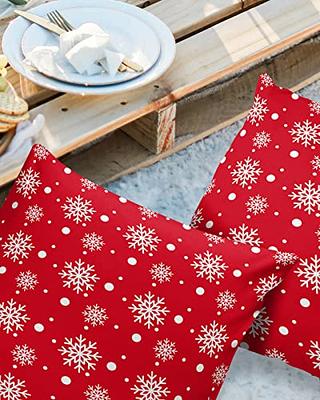 Outdoor Pillows Covers with Inserts 1PCS, Merry Christmas Santa Hold Gift  Snowflake Waterproof Pillow with Adjustable Strap Decorative Throw Pillows