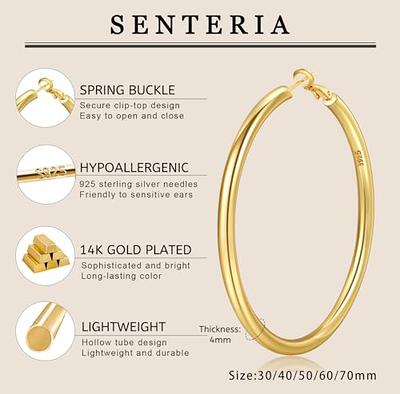  Senteria 5Pairs Small Hoop Earrings for Women Men