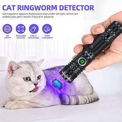 UV Flashlight 395nm Black Light Flashlight High Power for UV Resin Glue  Curing Pet Cat Pee Urine Stain Detecting - AliExpress