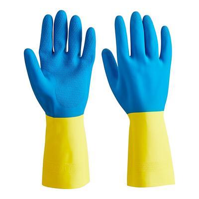 Noble Products Large Powder-Free Disposable Blue Vinyl Gloves for  Foodservice - Case of 1000 (10 Boxes of 100)