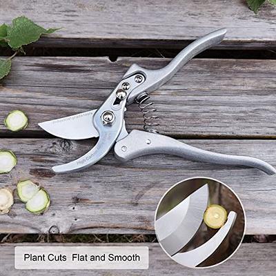 Bypass Pruning Shears - Premium Garden Shears, Heavy Duty Hand Pruners -  Ideal Plant Scissors, Branch Cutter - Ergonomic Garden Tool for Effortless  Cuts