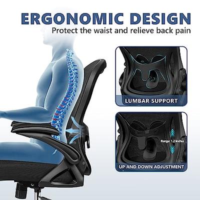 Winrise Office Chair Desk Chair, Ergonomic Mesh Computer Chair Home Office  Desk Chairs, Swivel Task Chair Mid Back Breathable Rolling Chair with  Adjustable Lumbar Support Flip Up Armrest (Black) 