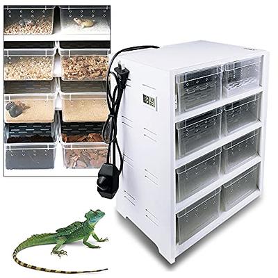 Cricket Keeper, Acrylic Feeding Cricket Pen with Tubes Cockroach Care Kit  Reptile Feeding Box (L) Terrariums