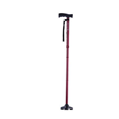 Drive Medical Hurrycane Freedom Edition Folding Cane With T Handle, Purple  : Target