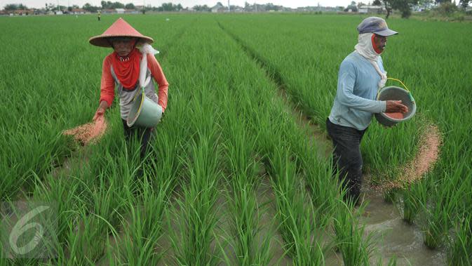 10 Macam Macam Pencemaran Lingkungan dan Dampaknya