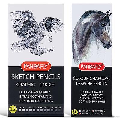 Charcoal Pencils,Pastel Pencil Portrait HandPainted Toner