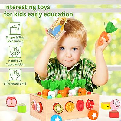 Montessori Toys for 1 2 3 Years Old Boys Girls Magnetic Fishing Game Wooden  Sorting & Stacking Toys for Baby Boys and Girls, Color Recognition Shape