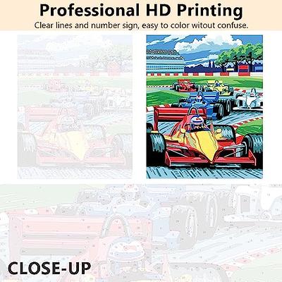 DIY Painting by Numbers for Adults, Motor Racing Painting Paint by