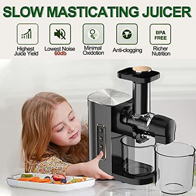 WHALL Slow Juicer, Masticating Juicer, Celery Juicer Machines, Cold Pr –  Whall