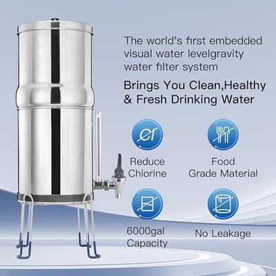 Big Berkey Gravity-Fed Stainless Steel Countertop Water Filter System 2.25  Gallon with 2 Authentic Black Berkey Elements BB9-2 Filters - Kitchen  Countertop Water Filters 