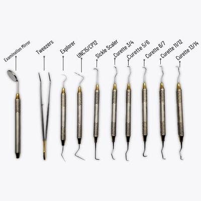 Dental Hygienists Instruments Tool kit 10 PC's with Sterilization Cassette  Prophylaxis Teeth Cleaning Set Artman Instruments