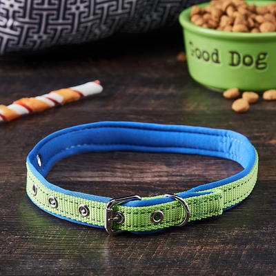 Vibrant Life Adjustable Nylon Dog Collar with D-Ring, Blue, Medium