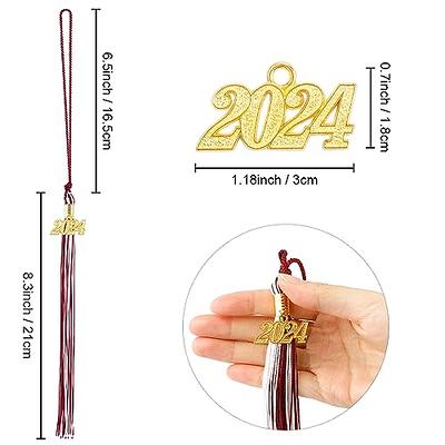 2 Pieces 2024 Tassel Graduation, 2024 Graduation Tassel for Graduation Cap  2024 Tassel Charm Honor Cords Graduation Regalia for Graduate Parties