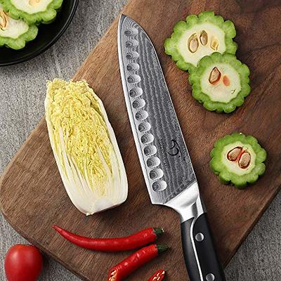 Damascus Kitchen Knife Set, XingRui Series 9 Pieces Damascus Knife Set with  Block, Non-slip ABS Ergonomic Triple Rivet Handle for Chef Knives, Knife